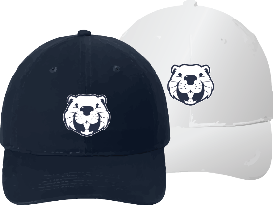 Picture of Port Authority® Brushed Twill Low Profile Cap